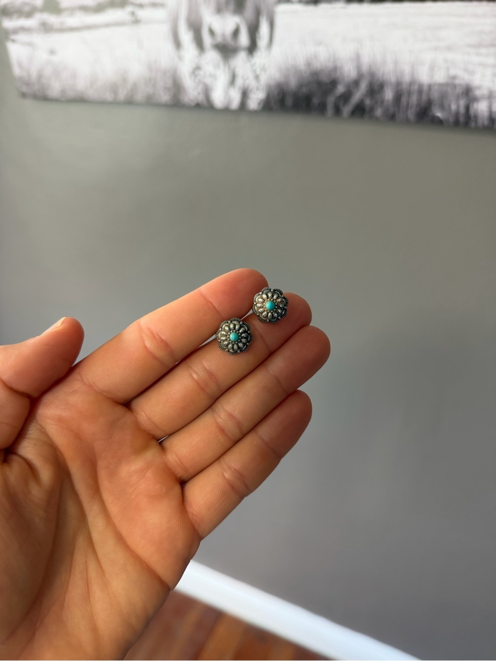 Faux Turquoise Earrings